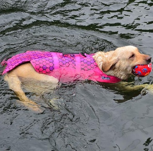 Dog swimwear pet rescue kits transform pet life jackets - FURRY WHOOF