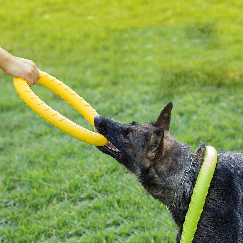 Pet Dog Training Toy Pull Ring - FURRY WHOOF