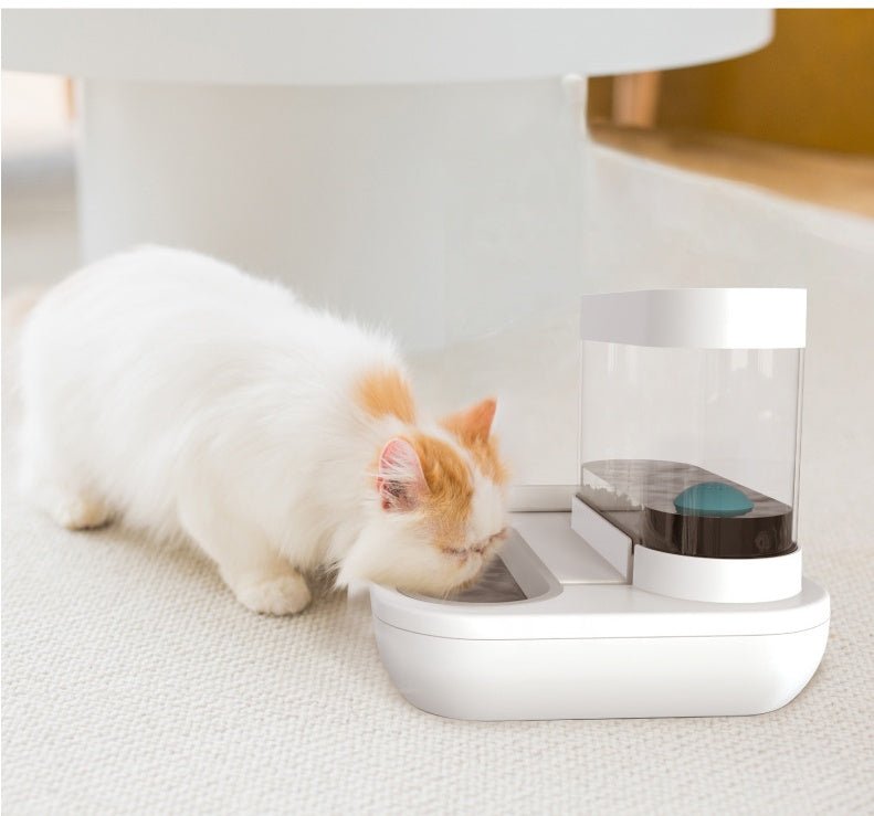 4 Style Pet Cat Bowl Dog for Cats Feeder Bowls Kitten Automatic Drinking Fountain 1.5L Capacity Puppy Feeding Waterer Products - FURRY WHOOF