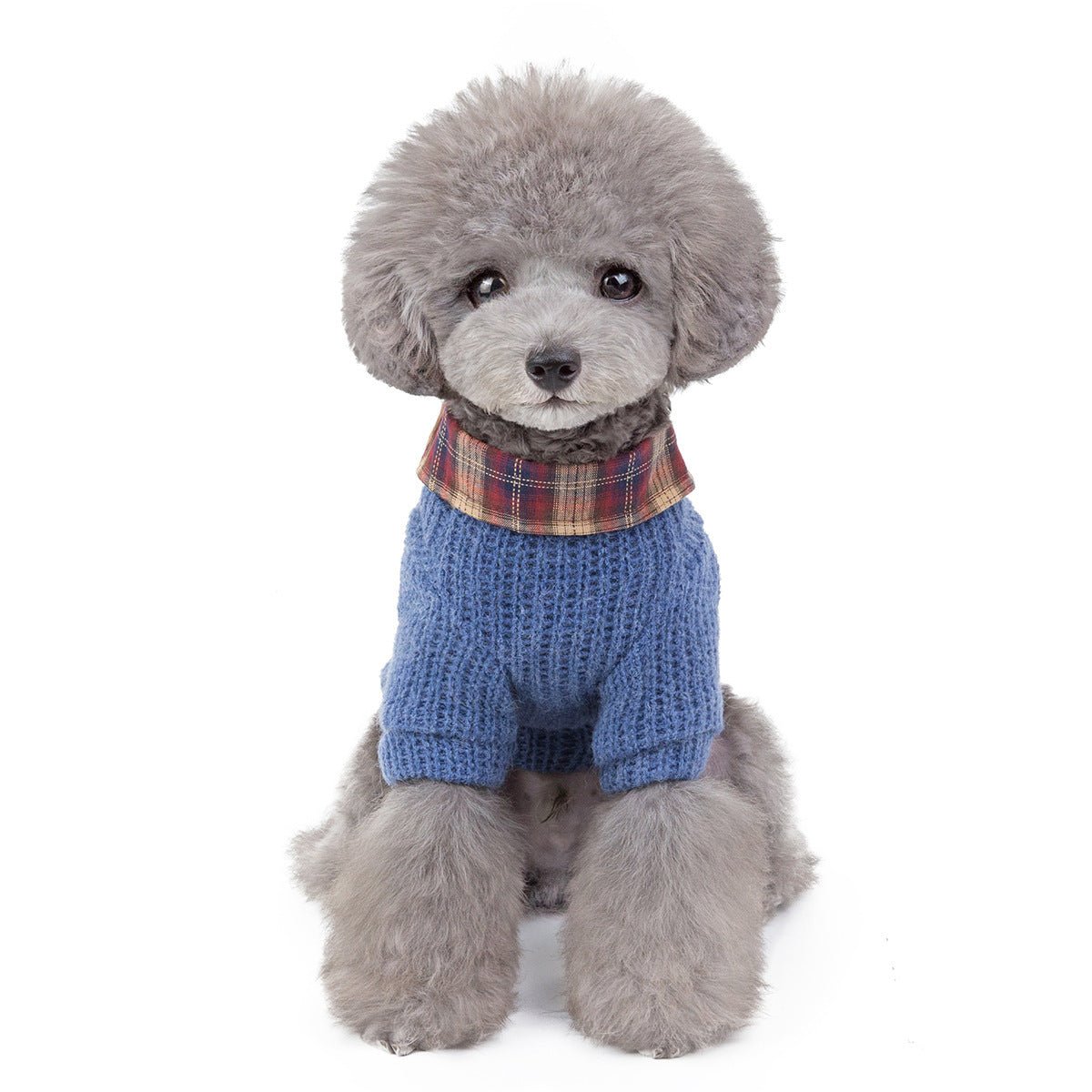 Pet Clothing Academy Wind Dogs Cats Out Clothing - FURRY WHOOF