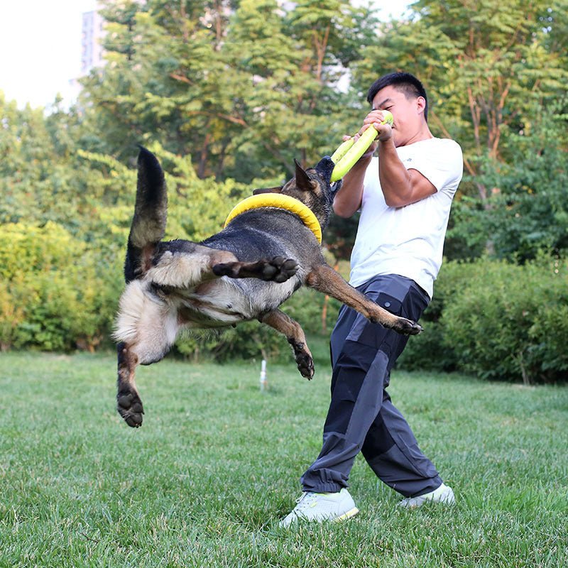 Pet Dog Training Toy Pull Ring - FURRY WHOOF