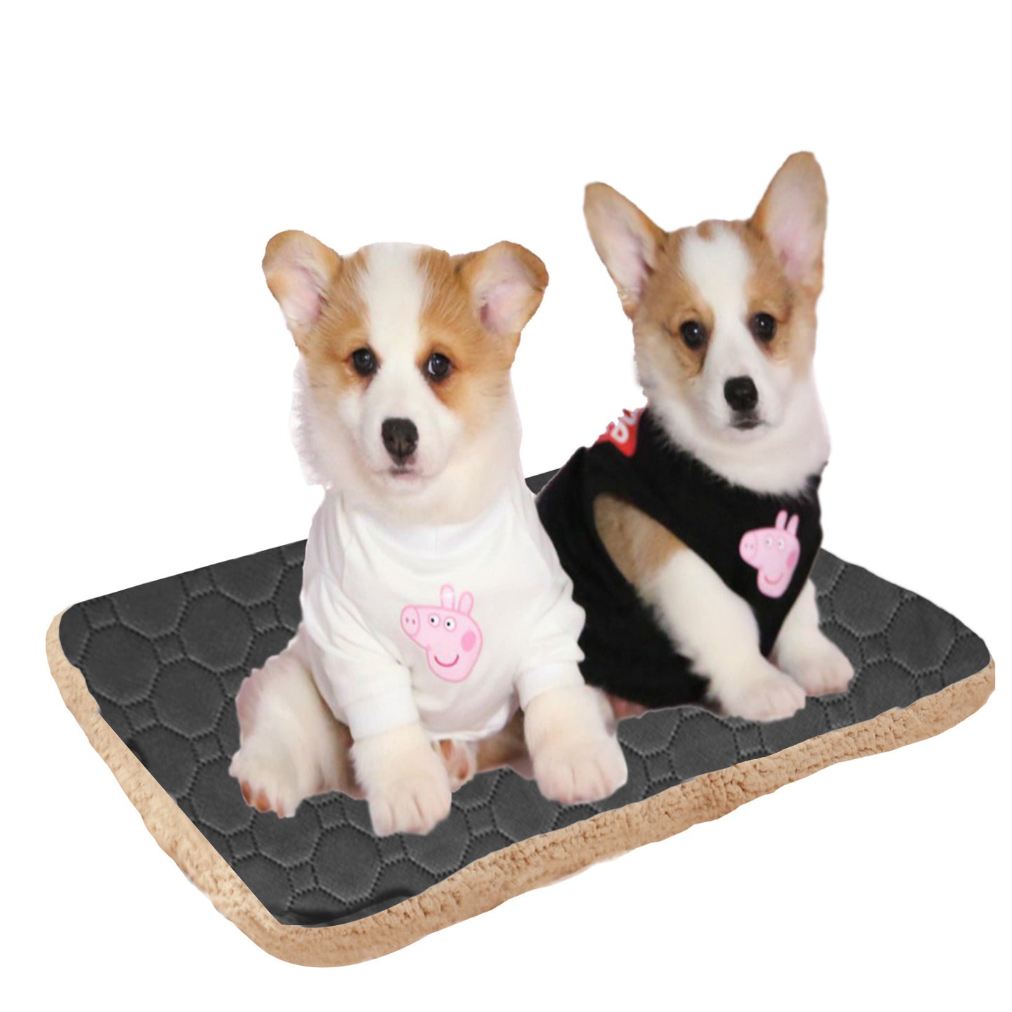 Three Layers Of Pet Mats That Quickly Absorb Sweat And Keep Warm - FURRY WHOOF