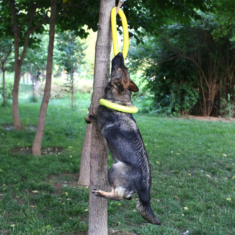 Pet Dog Training Toy Pull Ring - FURRY WHOOF