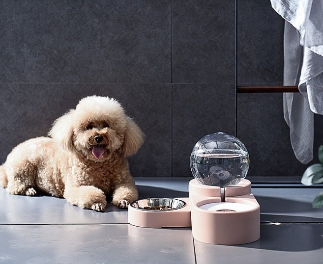 Automatic Pet Water Bowl - FURRY WHOOF