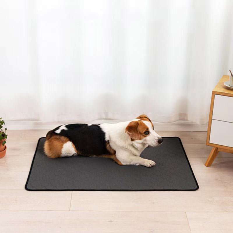 Waterproof Dog Mats Water - absorbing Dog Diaper Changing Mat Training Reusable Pet Changing Mat AntiSlip Mat Carpet Absorbent Mat - FURRY WHOOF