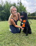 CleanPaws Wipes