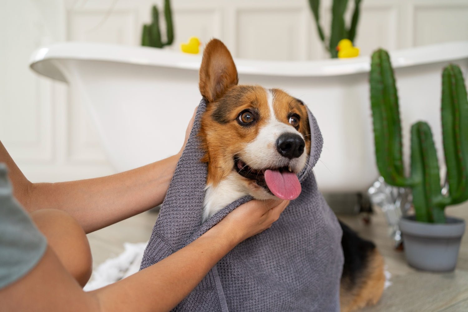 PET GROOMING PRODUCTS - FURRY WHOOF