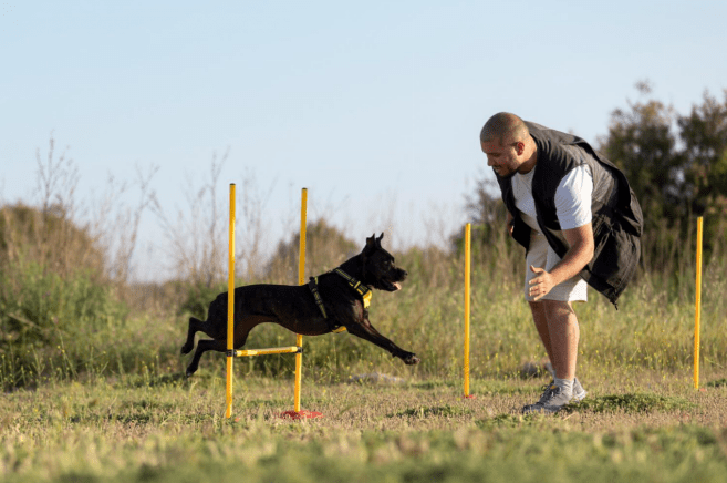 PET TRAINING KITS - FURRY WHOOF