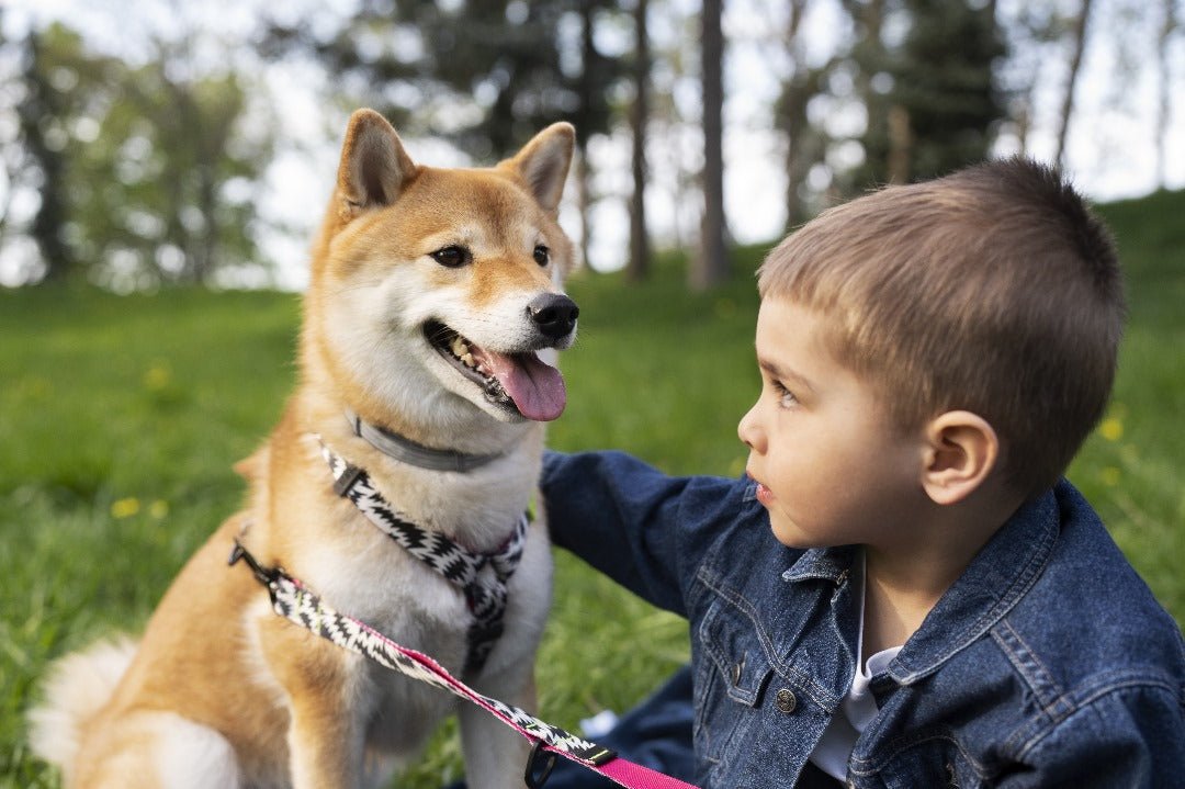 PET TRAINING KITS - FURRY WHOOF