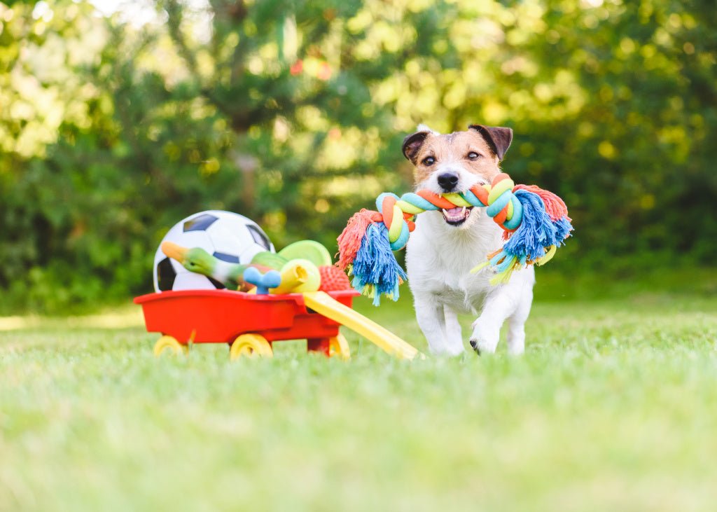 PET TOYS - FURRY WHOOF