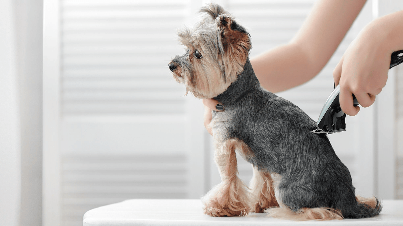 PETS GROOMING PRODUCTS - FURRY WHOOF