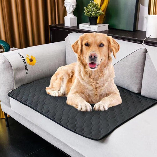 Waterproof Dog Mats Water - absorbing Dog Diaper Changing Mat Training Reusable Pet Changing Mat AntiSlip Mat Carpet Absorbent Mat - FURRY WHOOF