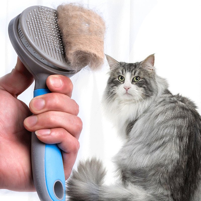 Pet steel needle brush - FURRY WHOOF