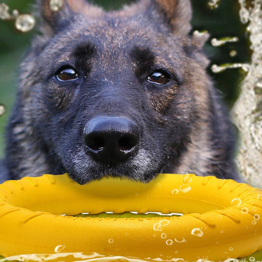 Pet Dog Training Toy Pull Ring - FURRY WHOOF