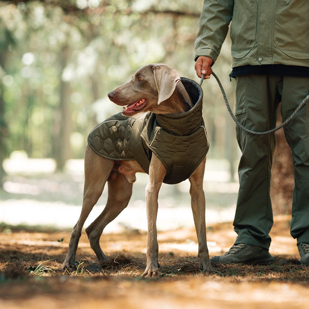 Thick Dog Clothing for your buddy for the cold times