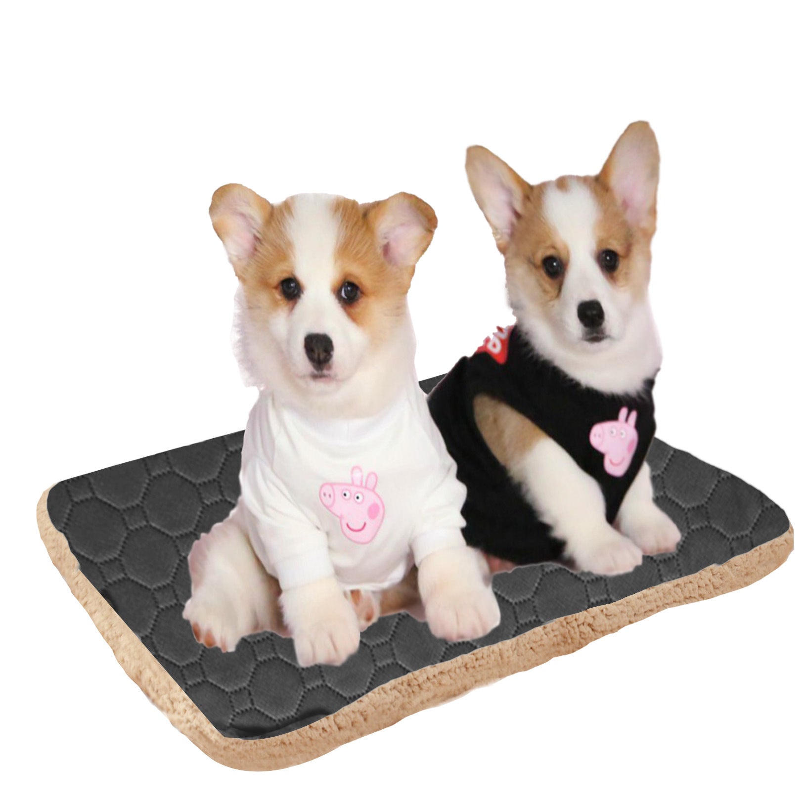 Three Layers Of Pet Mats That Quickly Absorb Sweat And Keep Warm - FURRY WHOOF