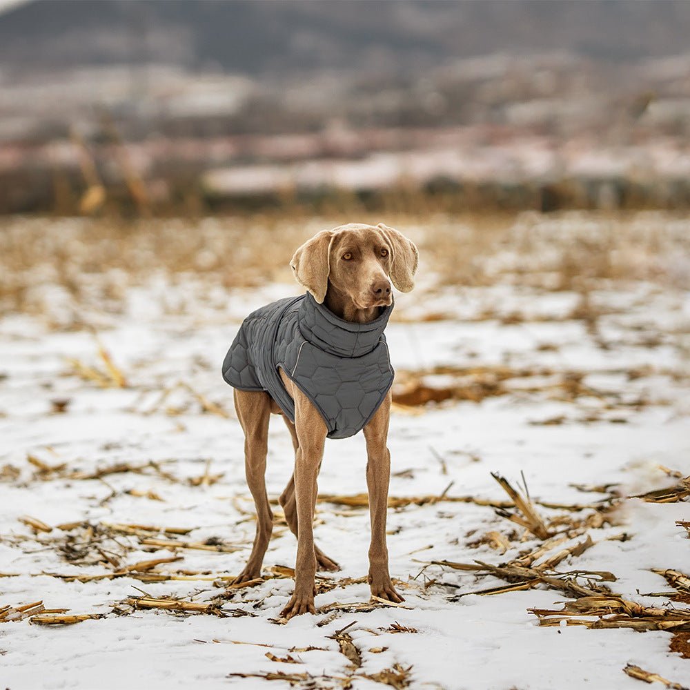 Thick Dog Clothing for your buddy for the cold times - FURRY WHOOF