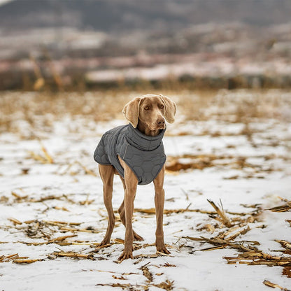 Thick Dog Clothing for your buddy for the cold times - FURRY WHOOF