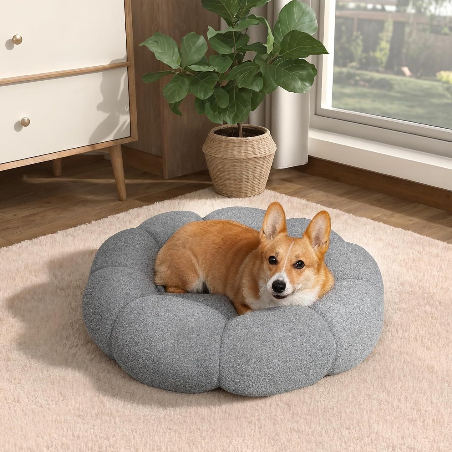 Calming Cat Beds For Indoor Cats Fluffy Flower Cat Dog Bed In Plush Teddy Sherpa Round Donut Cuddler Puppy Bed Non Slip Machine Washable Pet Bed - FURRY WHOOF
