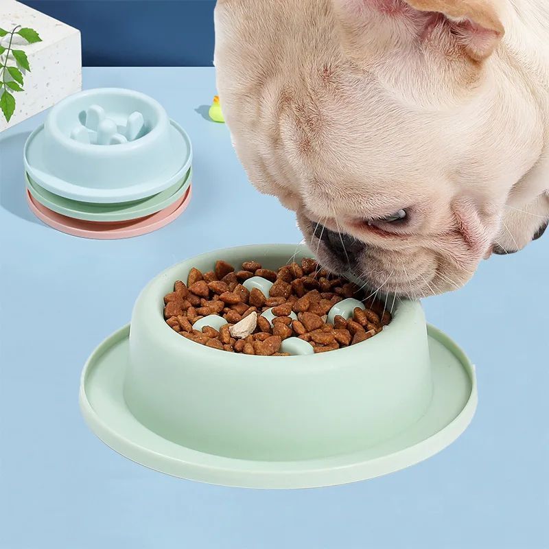 Pet Slow Eating Feeder Dog Feeding Food Bowls Anti - Chocking Dog Bowl Interactive Puppy Food Plate Dishes - FURRY WHOOF