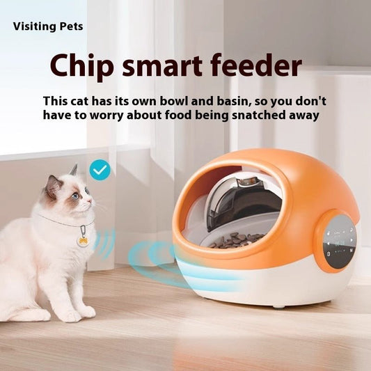 Pet Anti - grab Food Chip Identification Multi - cat Automatic Pet Feeder - FURRY WHOOF