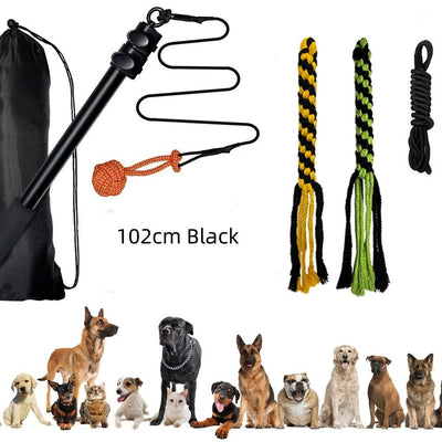 Pet Training Rod with Retractable Funny Stick