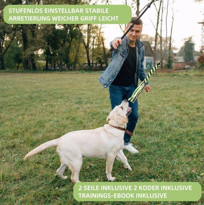 Pet Training Rod with Retractable Funny Stick - FURRY WHOOF