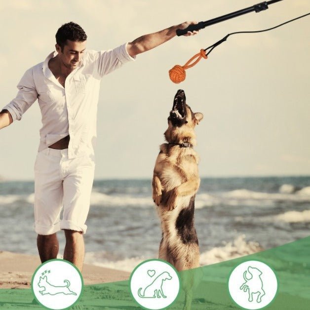 Pet Training Rod with Retractable Funny Stick