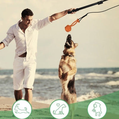 Pet Training Rod with Retractable Funny Stick