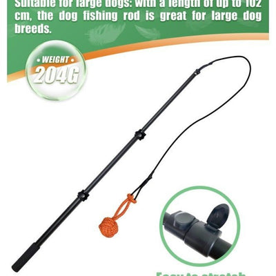 Pet Training Rod with Retractable Funny Stick