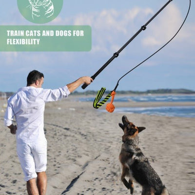 Pet Training Rod with Retractable Funny Stick