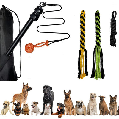 Pet Training Rod with Retractable Funny Stick