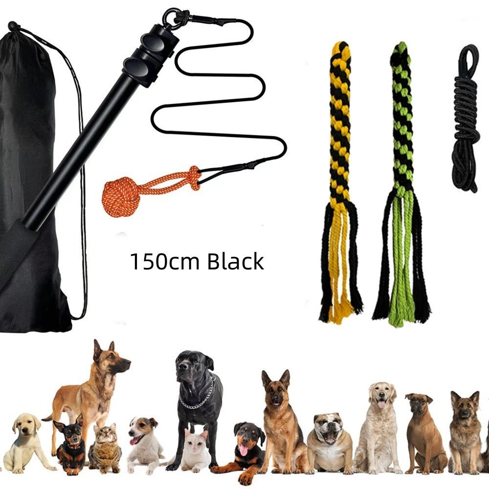 Pet Training Rod with Retractable Funny Stick