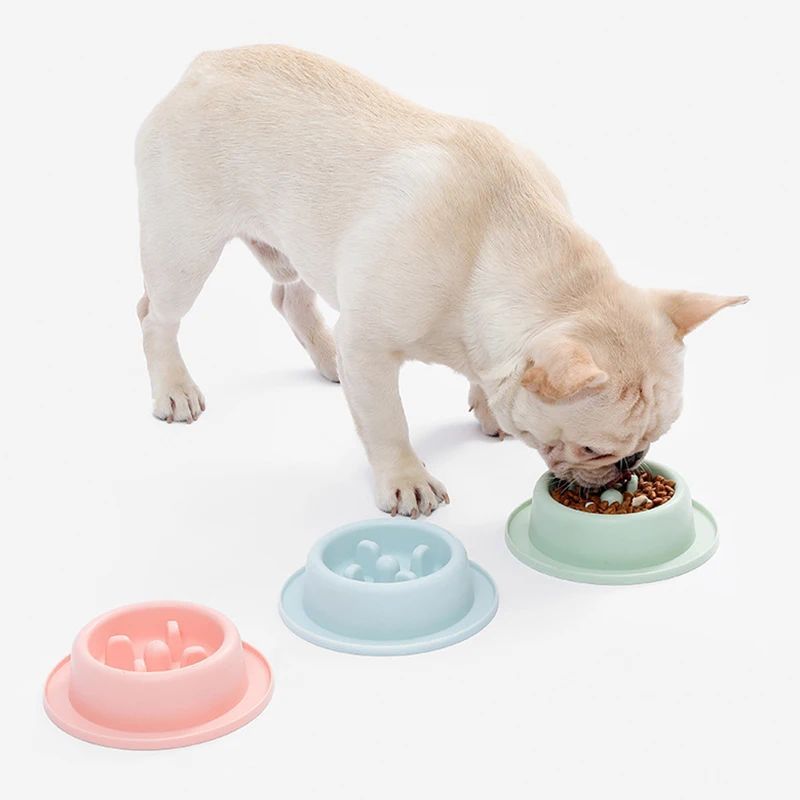 Pet Slow Eating Feeder Dog Feeding Food Bowls Anti - Chocking Dog Bowl Interactive Puppy Food Plate Dishes - FURRY WHOOF