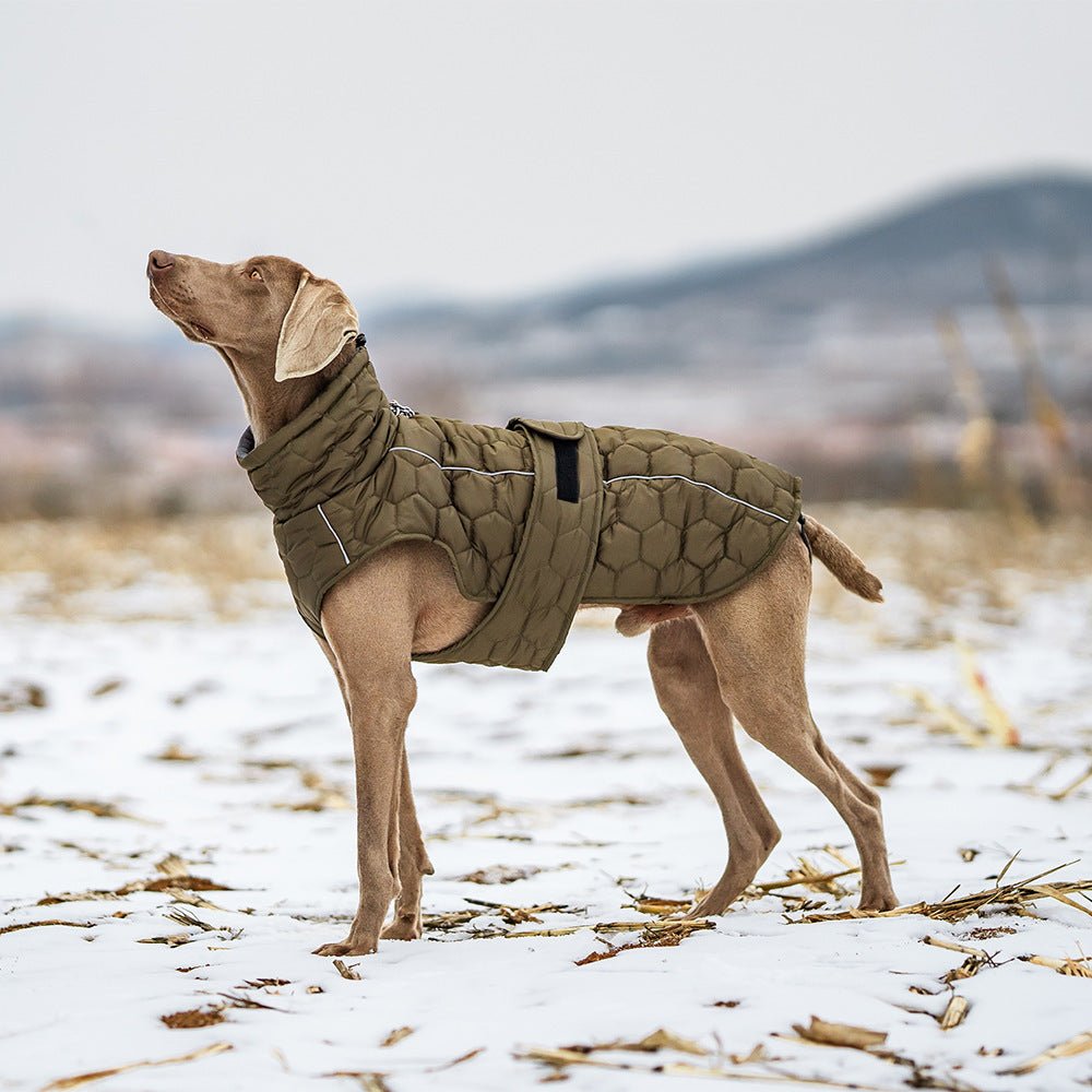 Thick Dog Clothing for your buddy for the cold times - FURRY WHOOF