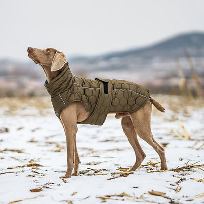 Thick Dog Clothing for your buddy for the cold times - FURRY WHOOF