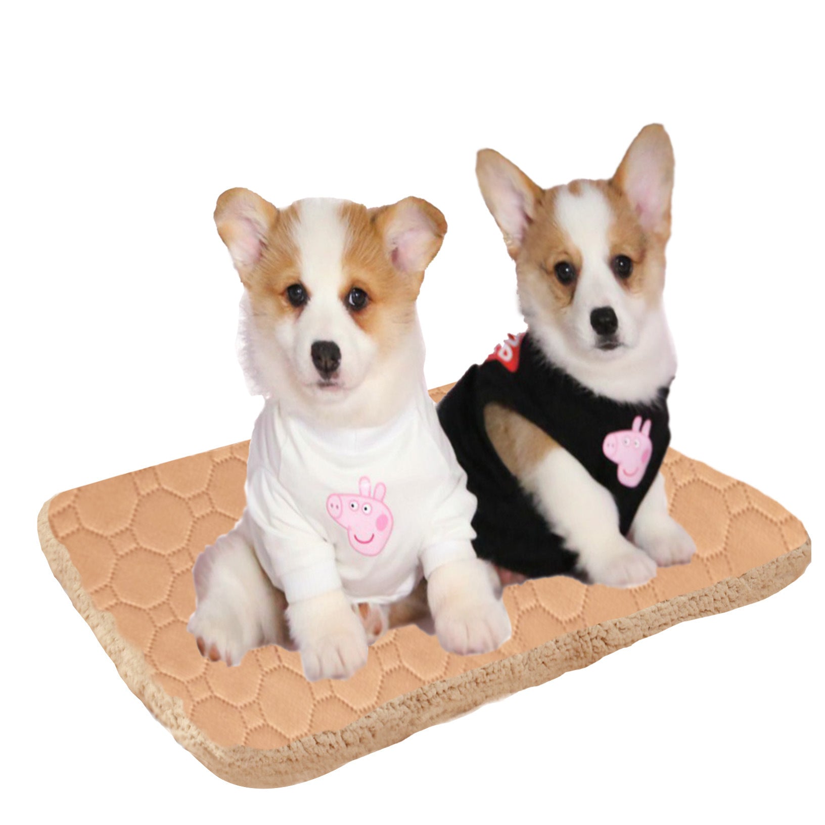Three Layers Of Pet Mats That Quickly Absorb Sweat And Keep Warm - FURRY WHOOF
