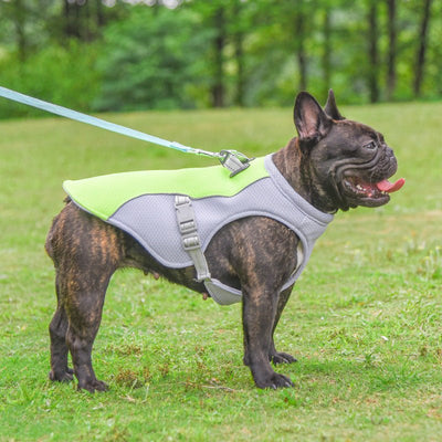 Summer Pet Dog Cooling Vest Heat Resistant Cool Dogs Clothes Breathable Sun - proof Clothing For Small Large Dogs Outdoor Walking - FURRY WHOOF