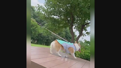 Pet Dogs Cooling Vests